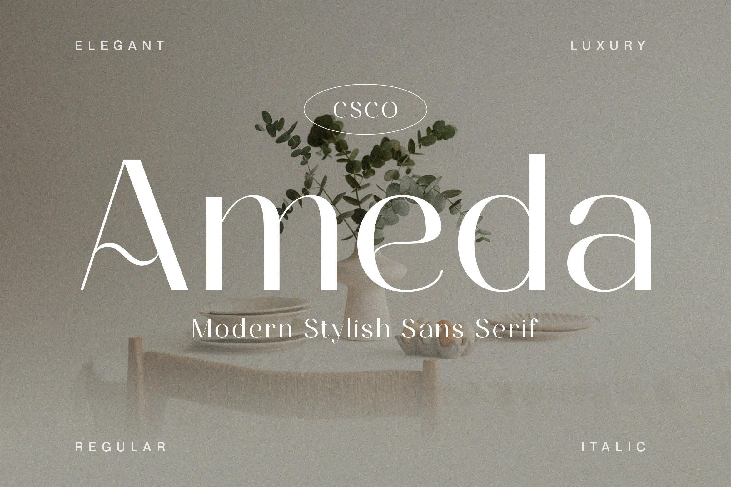 Ameda Modern Stylish Sans Serif