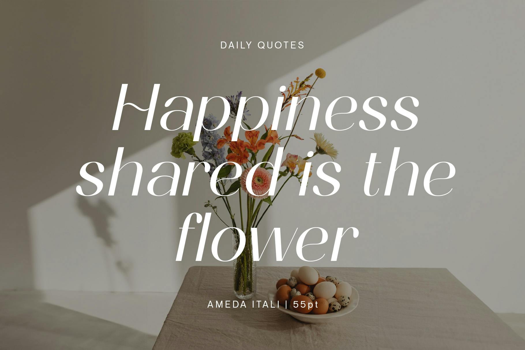 Ameda Modern Stylish Sans Serif