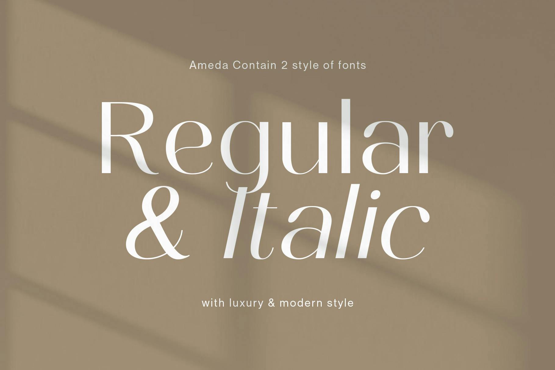 Ameda Modern Stylish Sans Serif