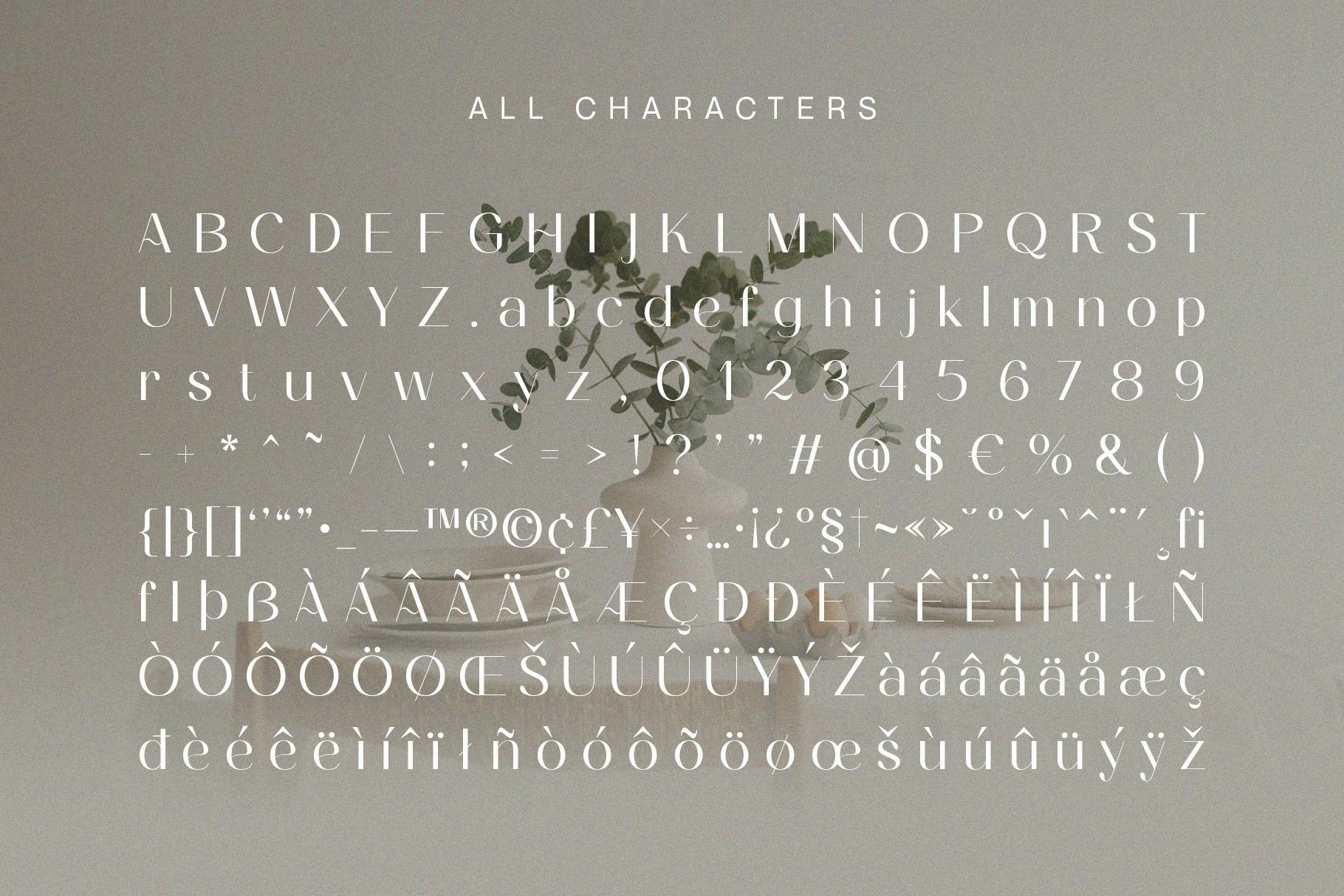 Ameda Modern Stylish Sans Serif