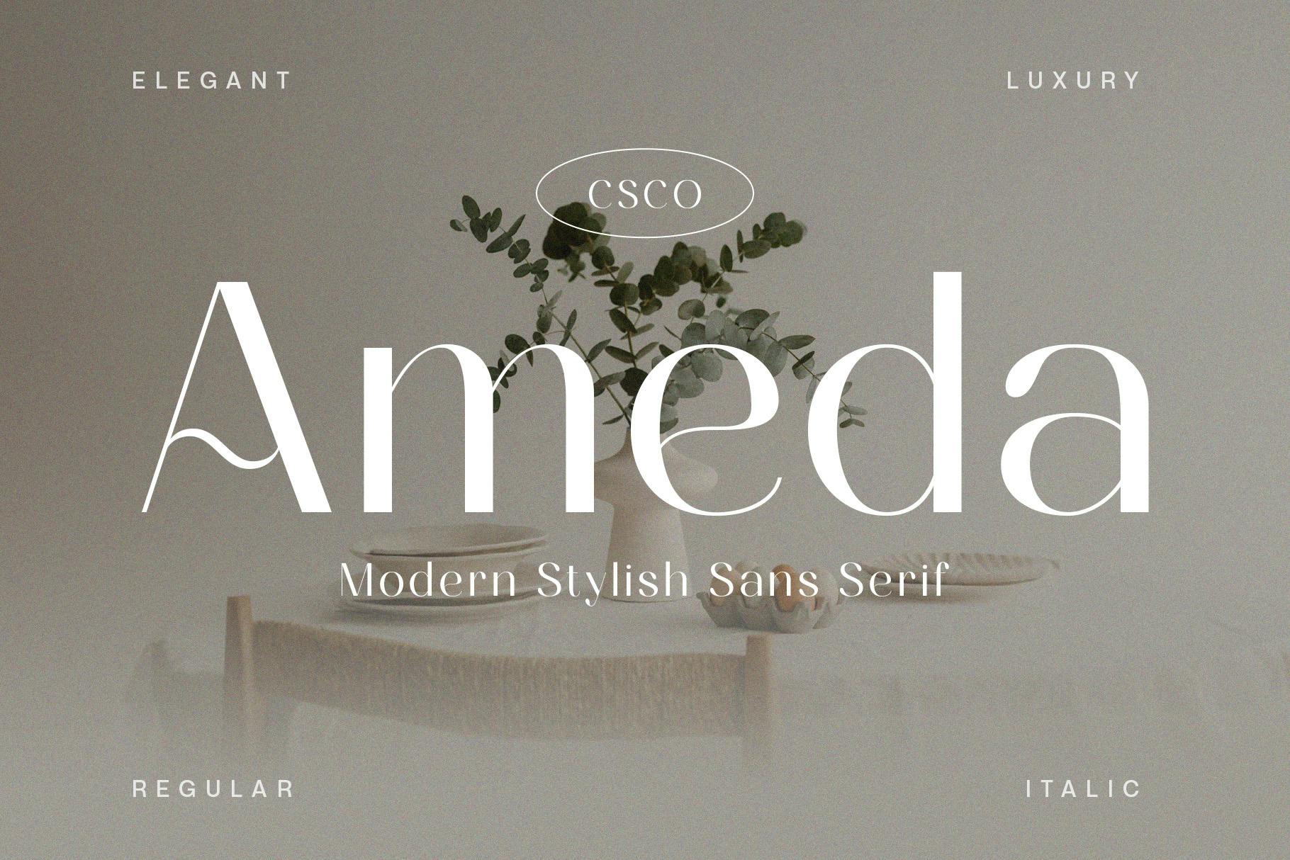 Ameda Modern Stylish Sans Serif