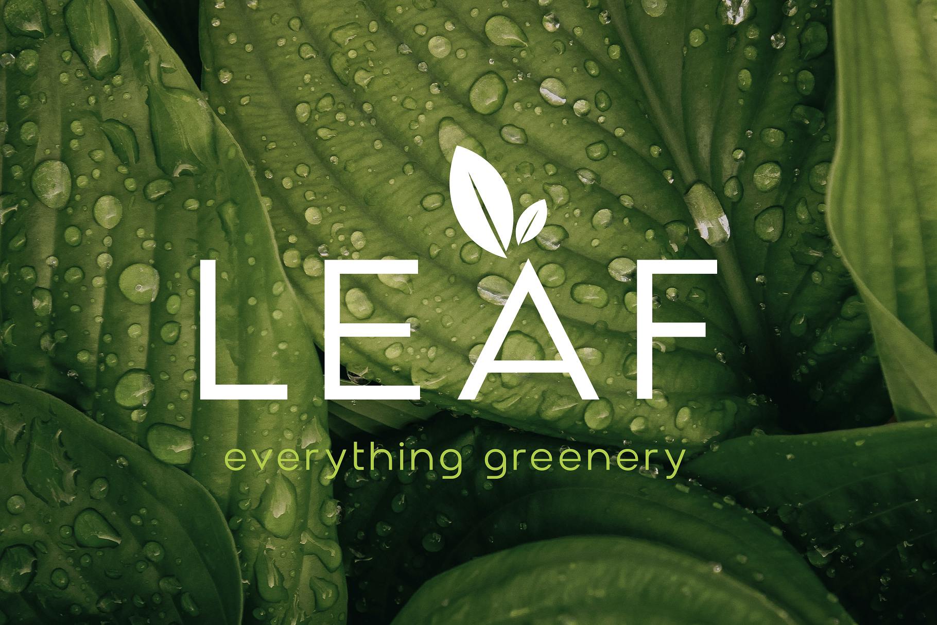 Amenti Clean Modern Sans