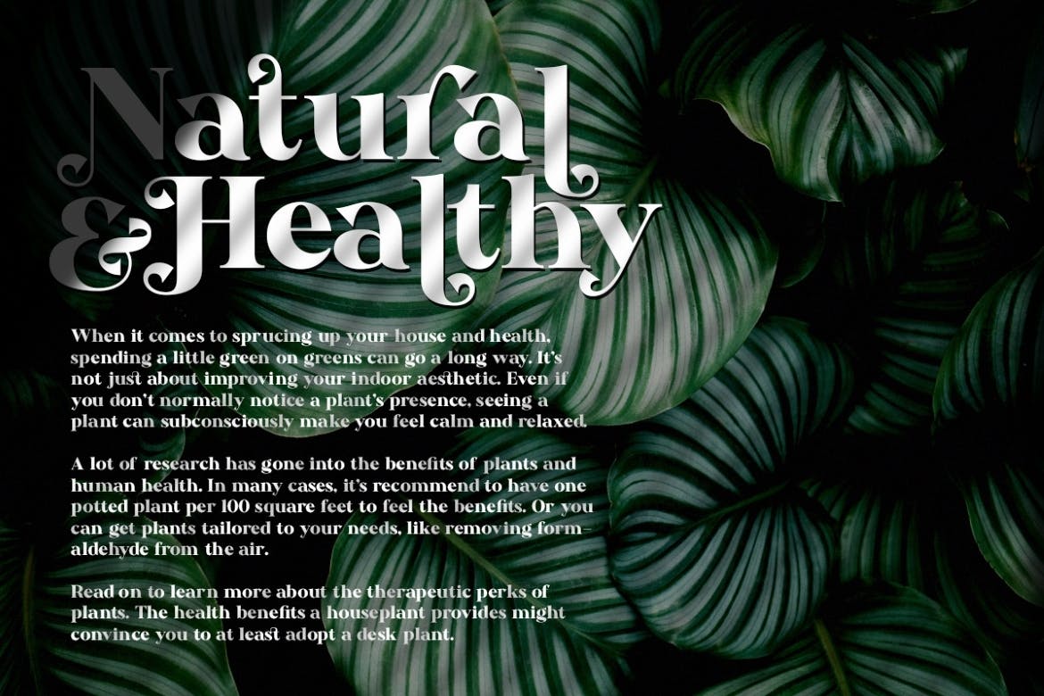 Bestorika Beautiful Modern Serif