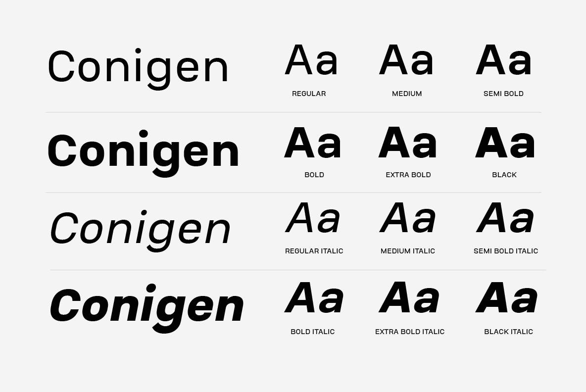 Conigen Modern Sans Serif