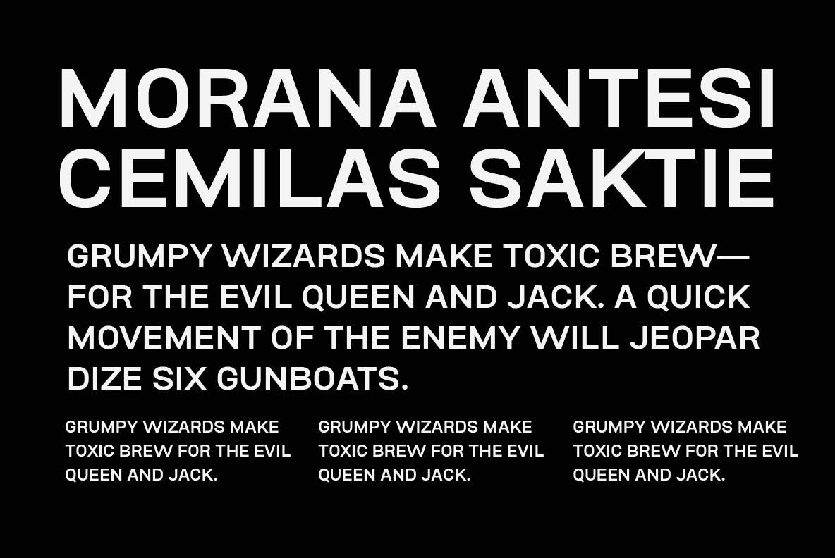 Conigen Modern Sans Serif