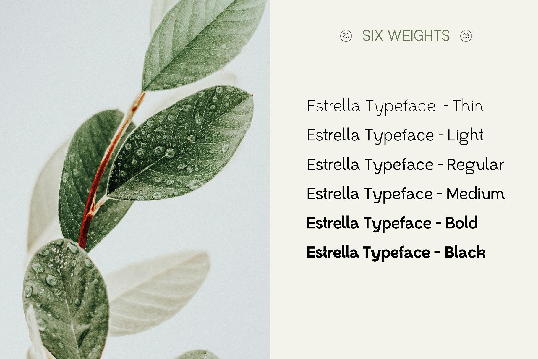 Estrella Modern Sans Serif
