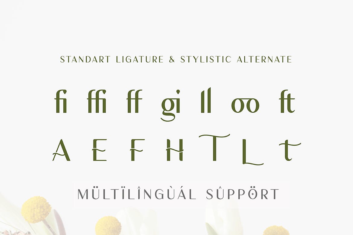 فونت لوکس Sans Serif