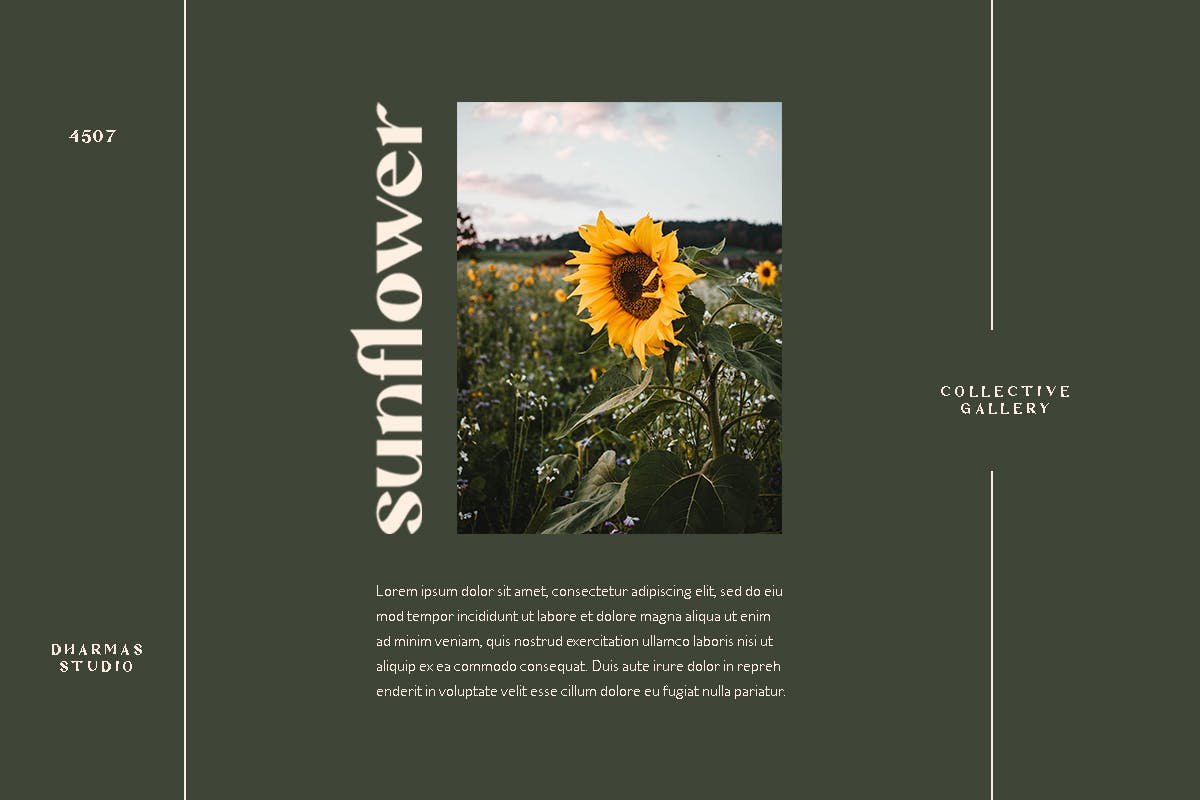 Mattire Modern Sans