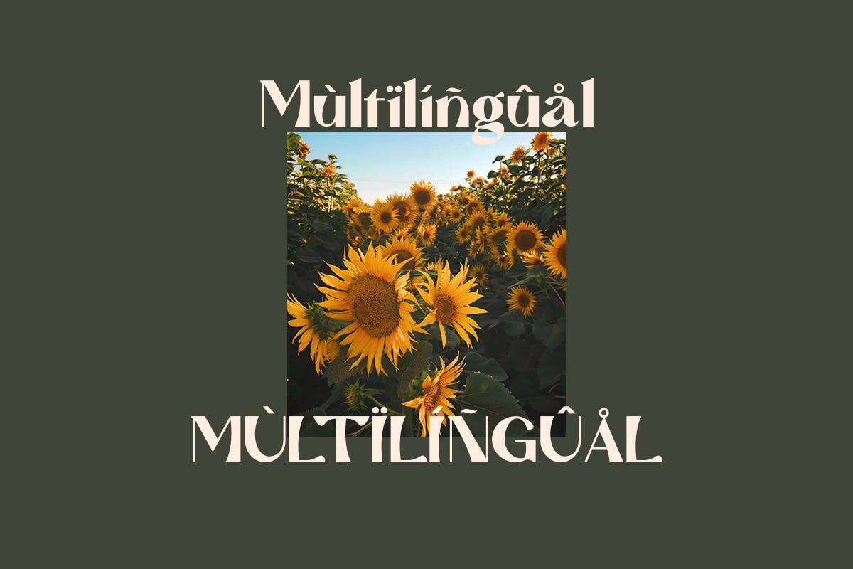 Mattire Modern Sans