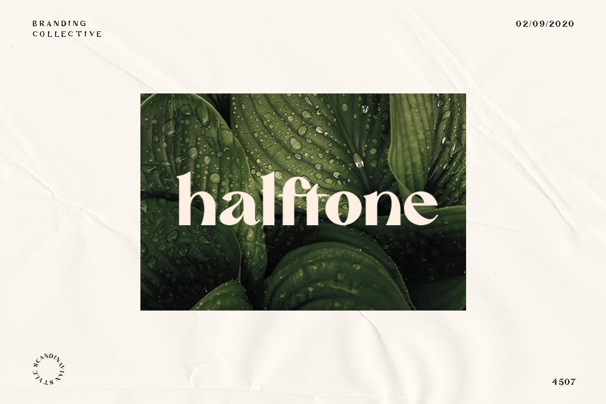 Mattire Modern Sans