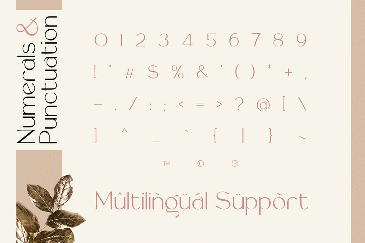 رول گیتز لوکس