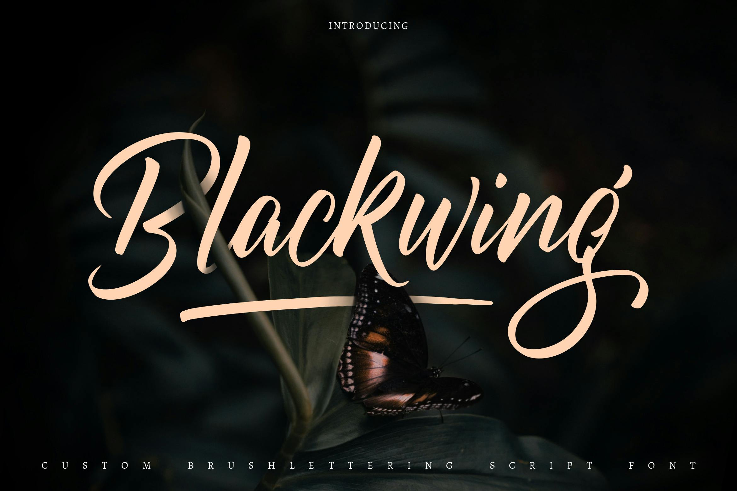 قلم اسکریپت حروف براش سفارشی Blackwing