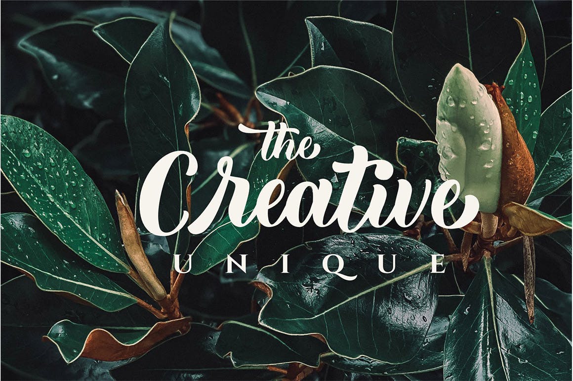 فیلمنامه پررنگ لوکس برادر