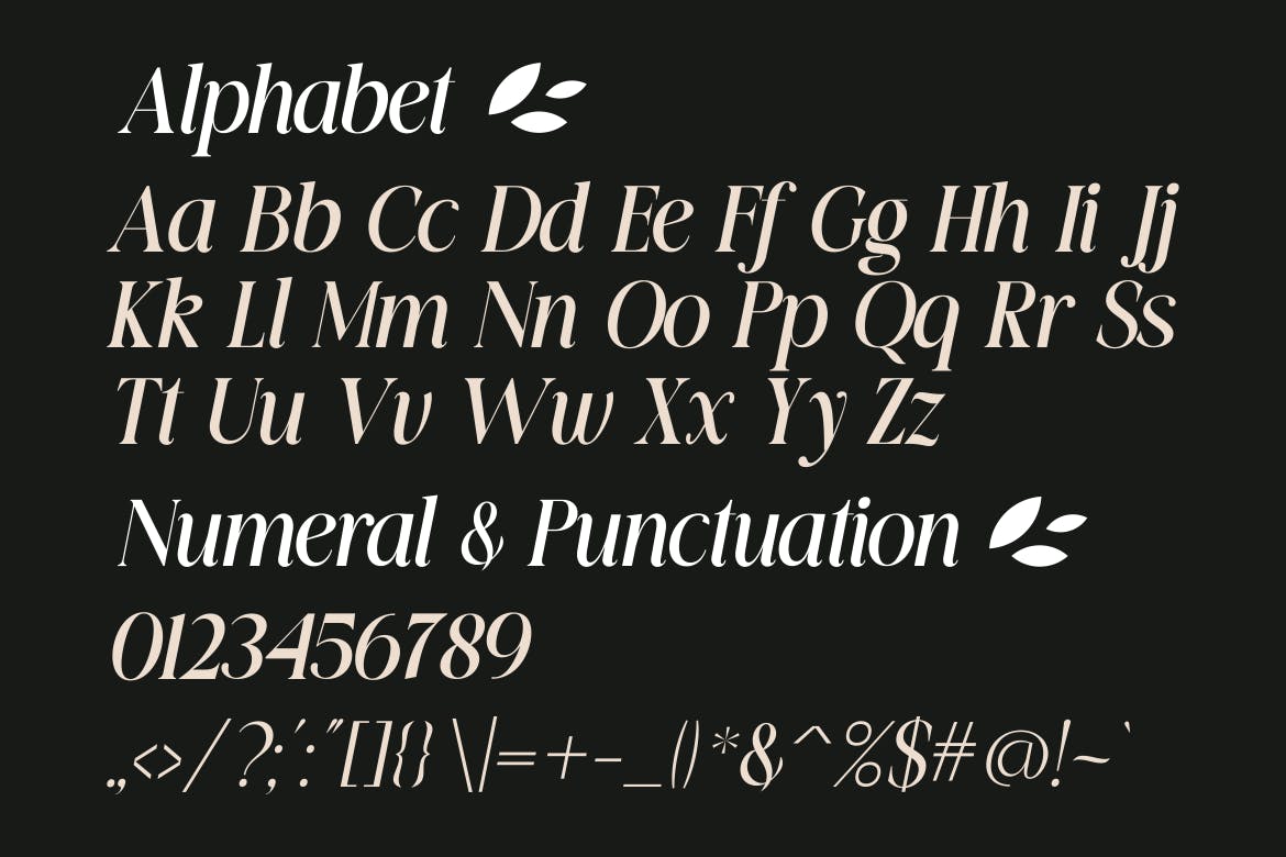 Coffins A Modern Serif Font
