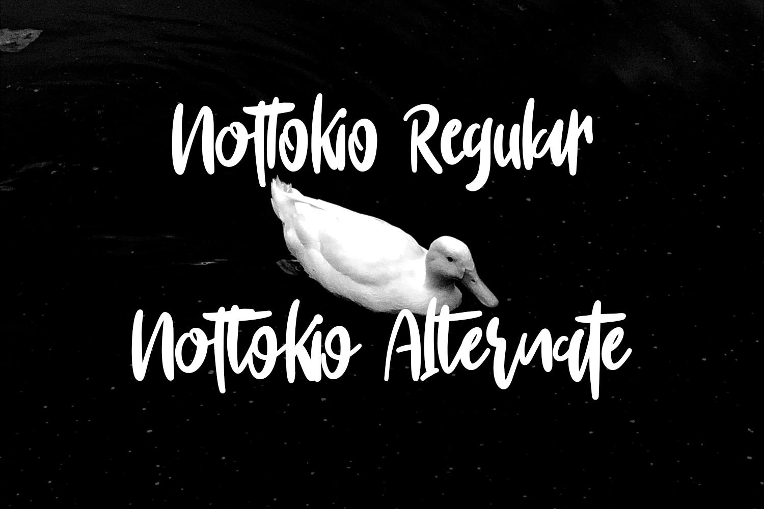 فونت لوگو قابل نقل قول Nottokio