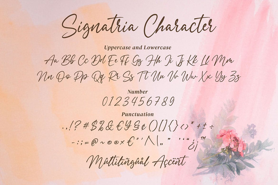 Signatria یک قلم نامه شیک