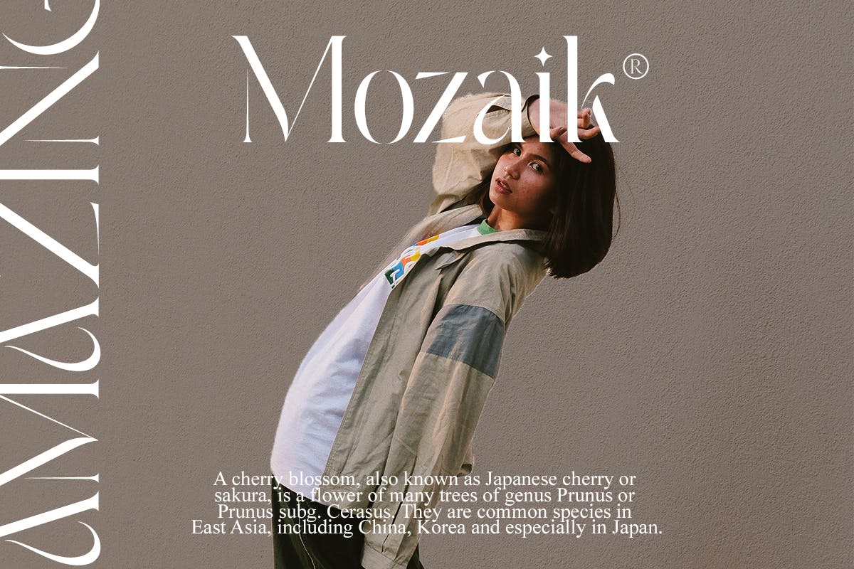 Ambrosia Modern Serif