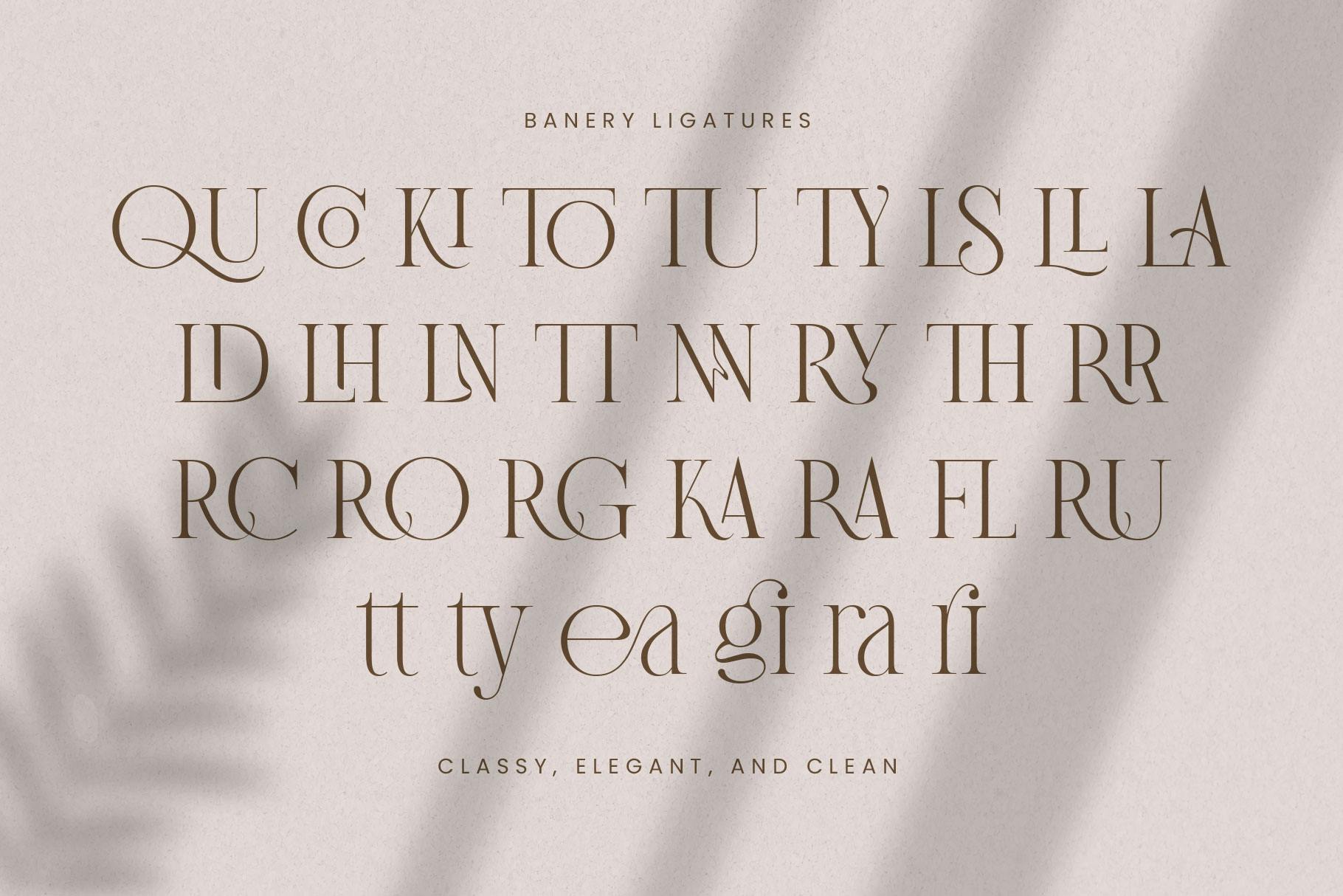 Banery Modern Serif