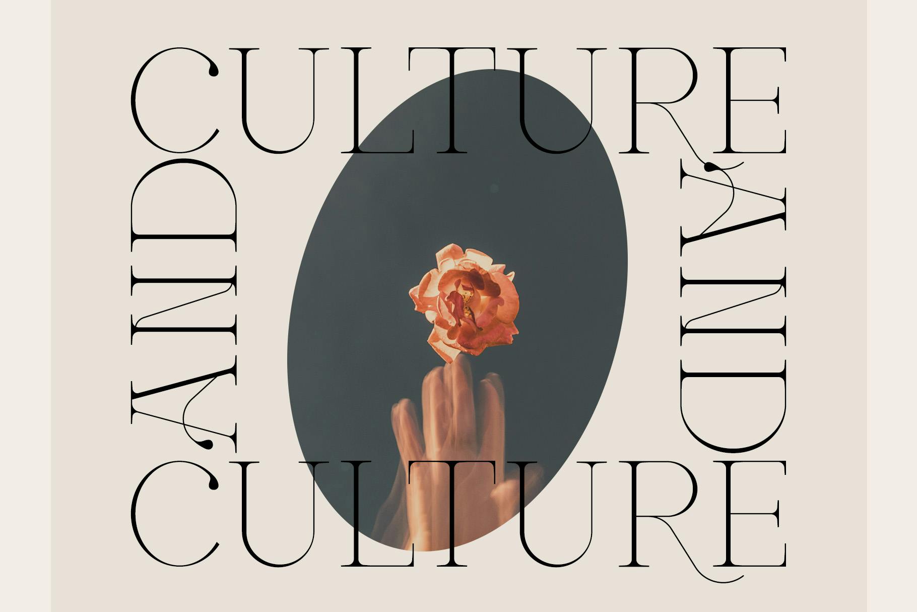 Céleri Modern Serif