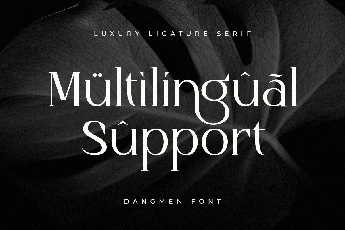 Dangmen Luxury Ligature Serif