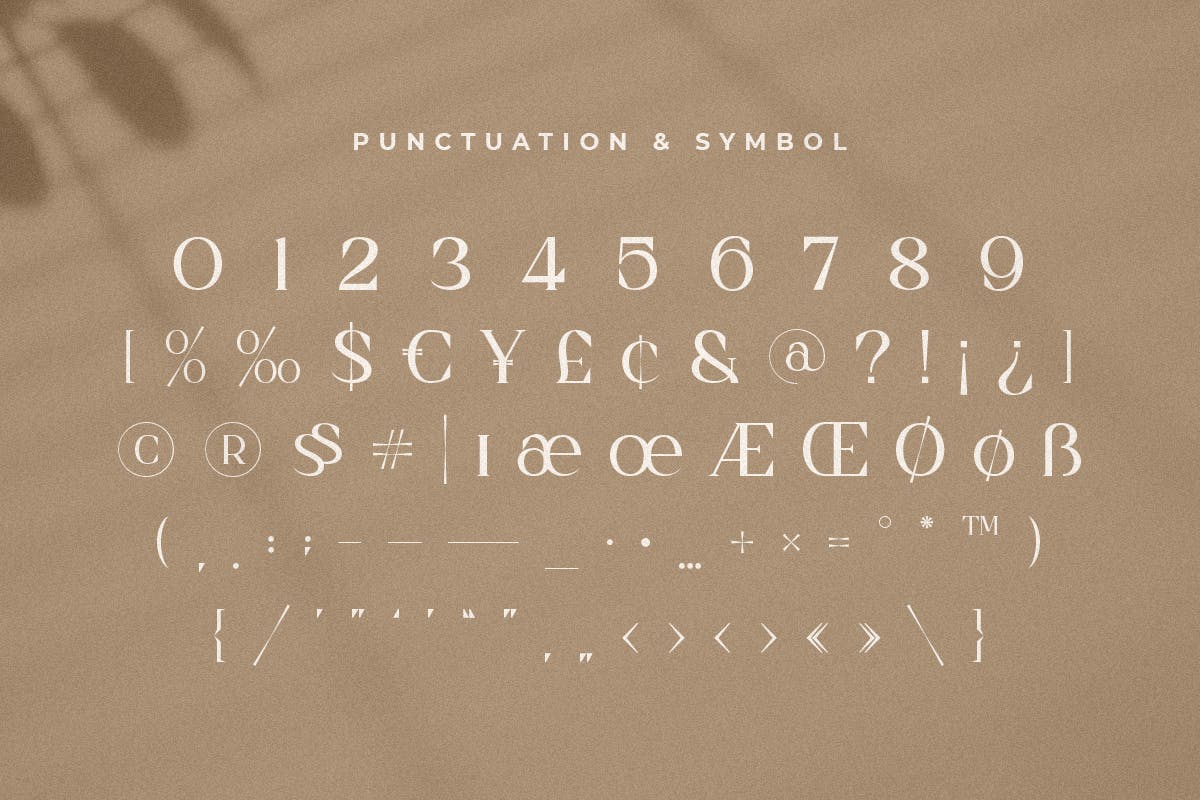 Dangmen Luxury Ligature Serif