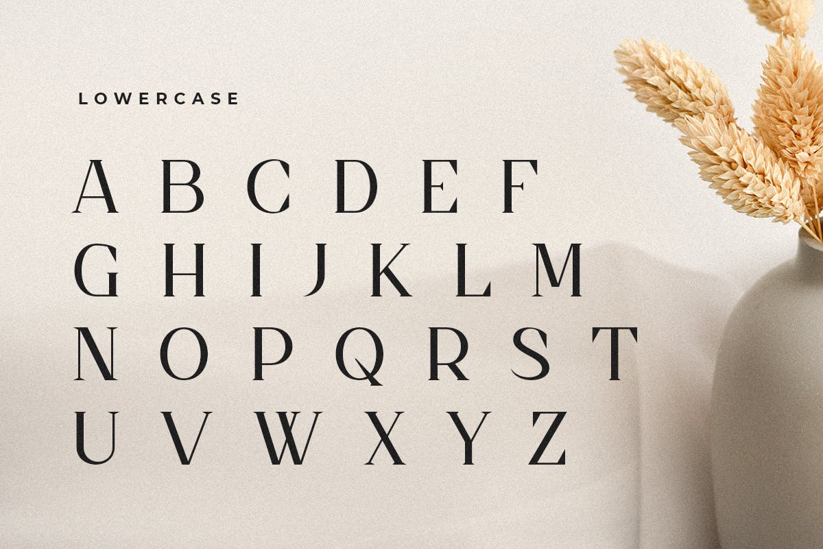 Dangmen Luxury Ligature Serif