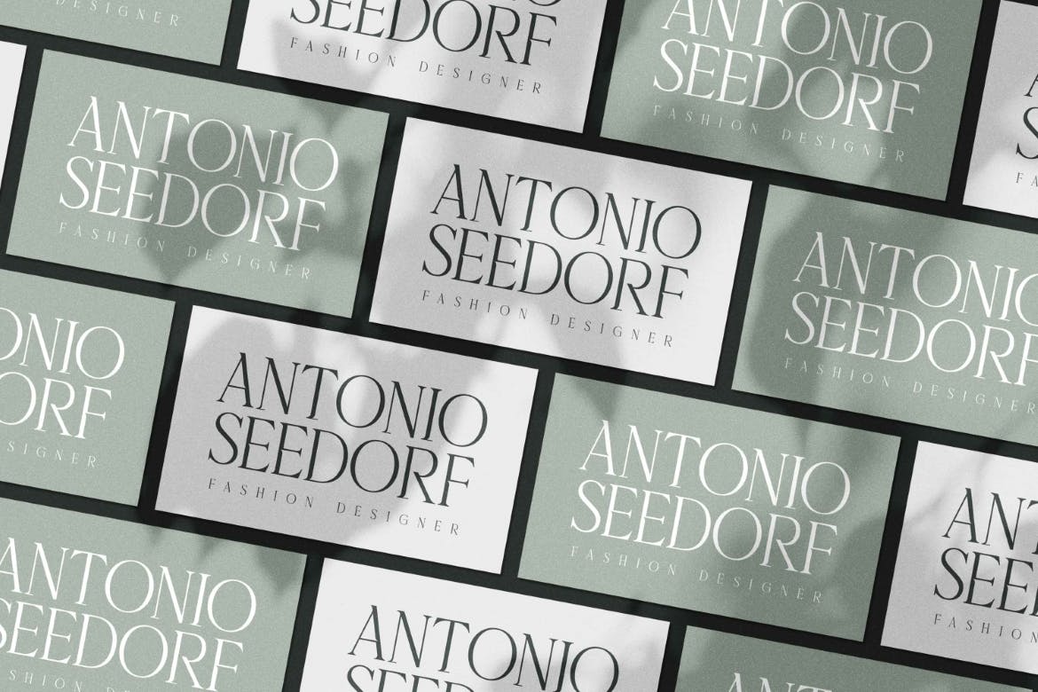 Delaproza ​​Modern Serif