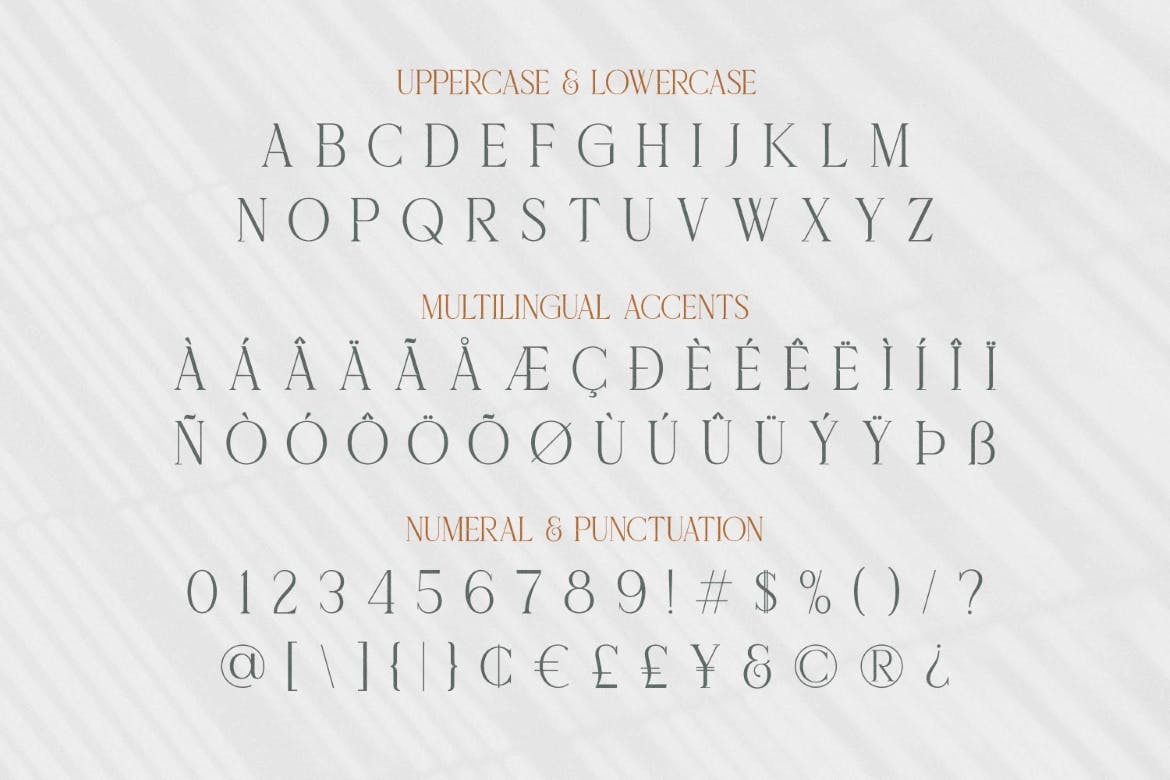 Delaproza ​​Modern Serif