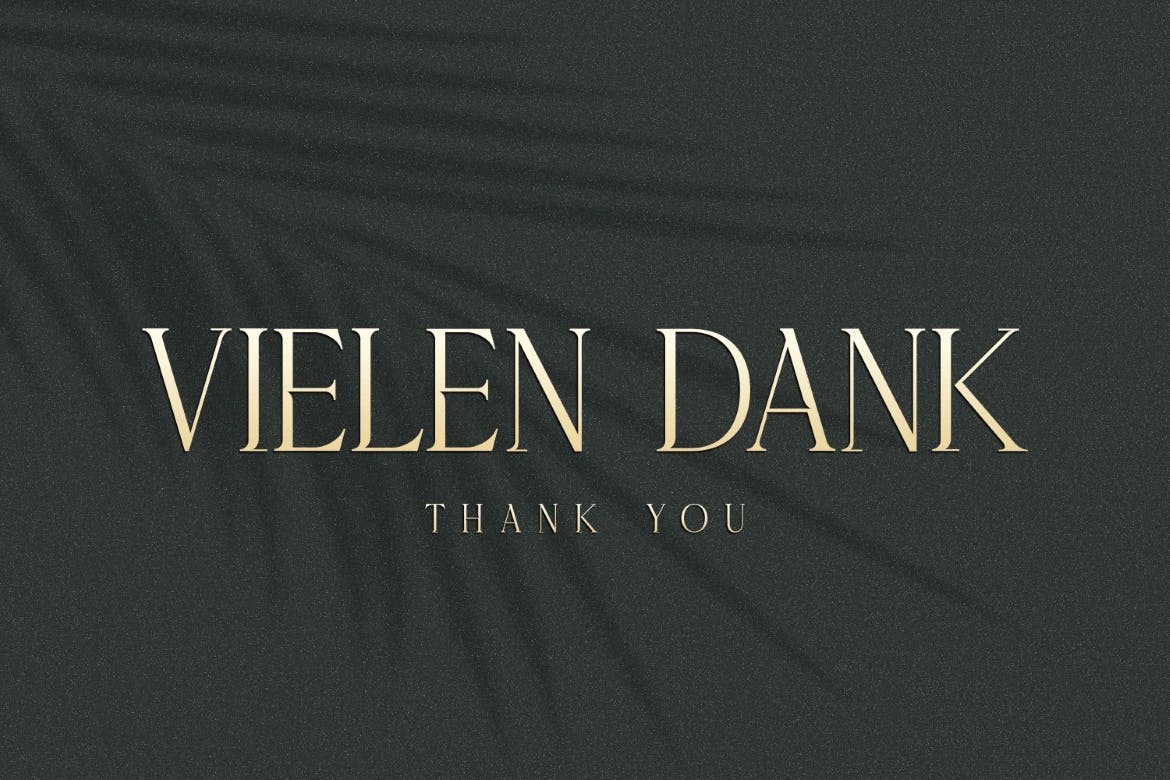 Delaproza ​​Modern Serif