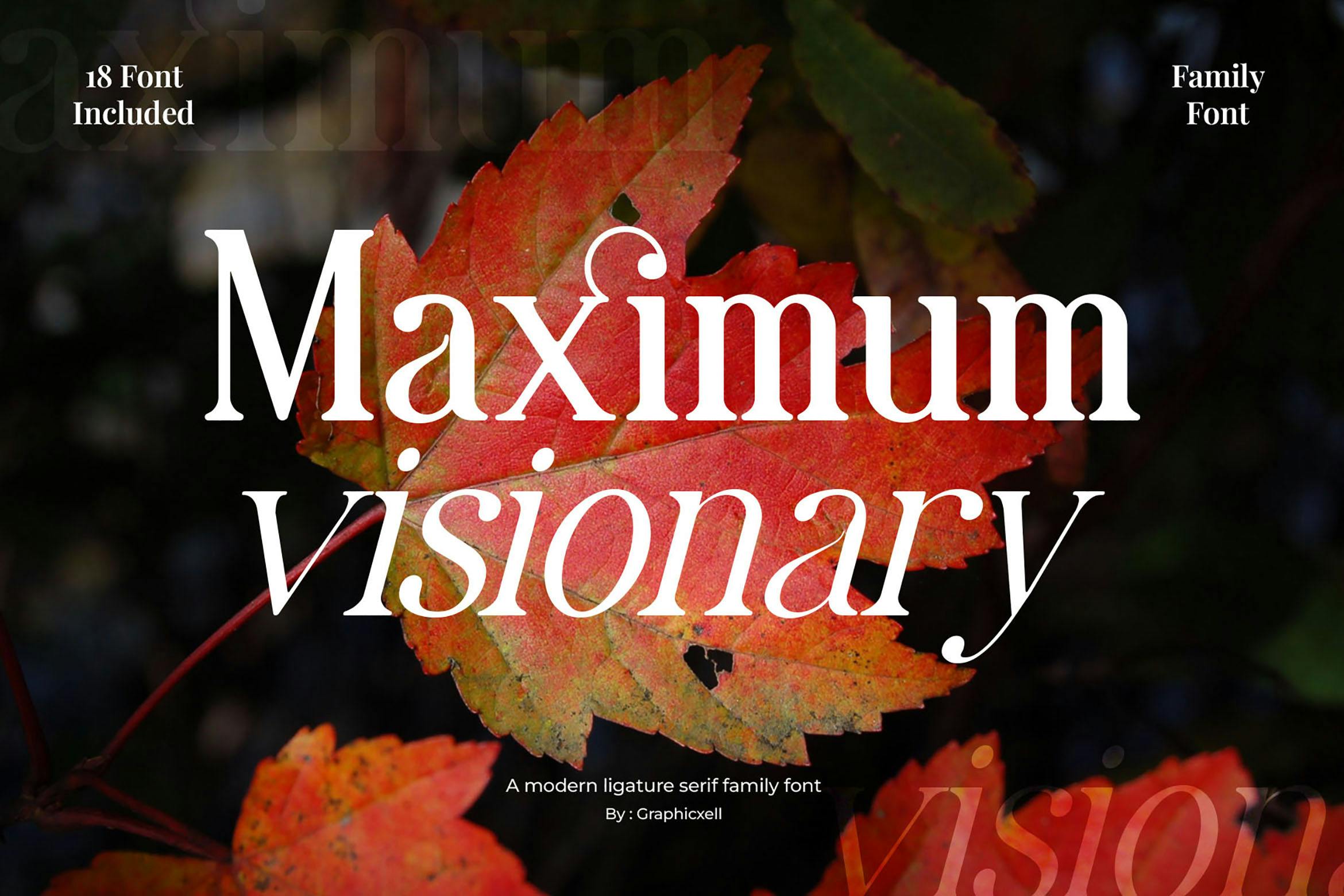 حداکثر فونت Serif Elegant Family Visionary