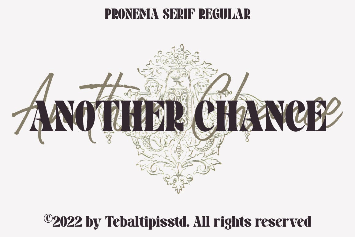 Pronema Modern Serif