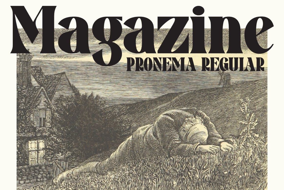 Pronema Modern Serif
