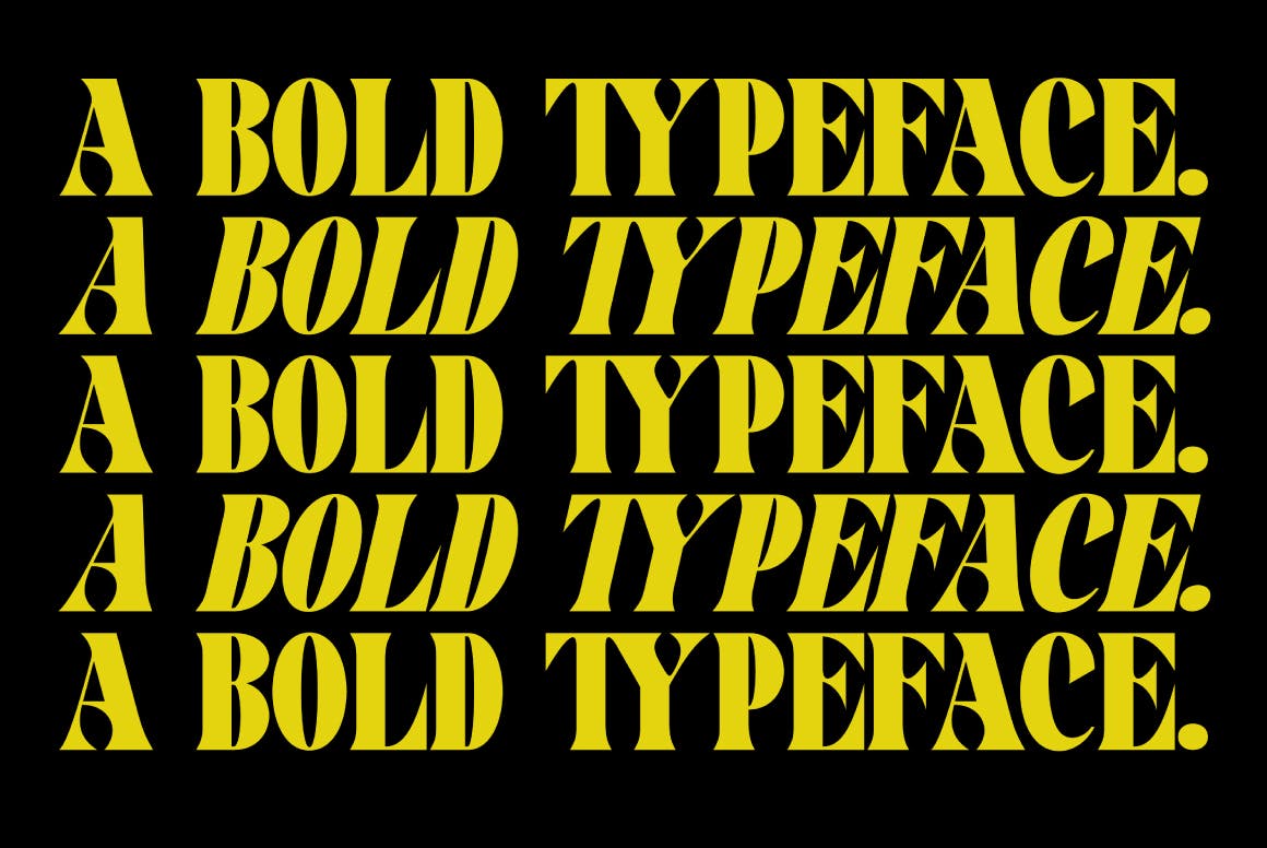 Pronema Modern Serif