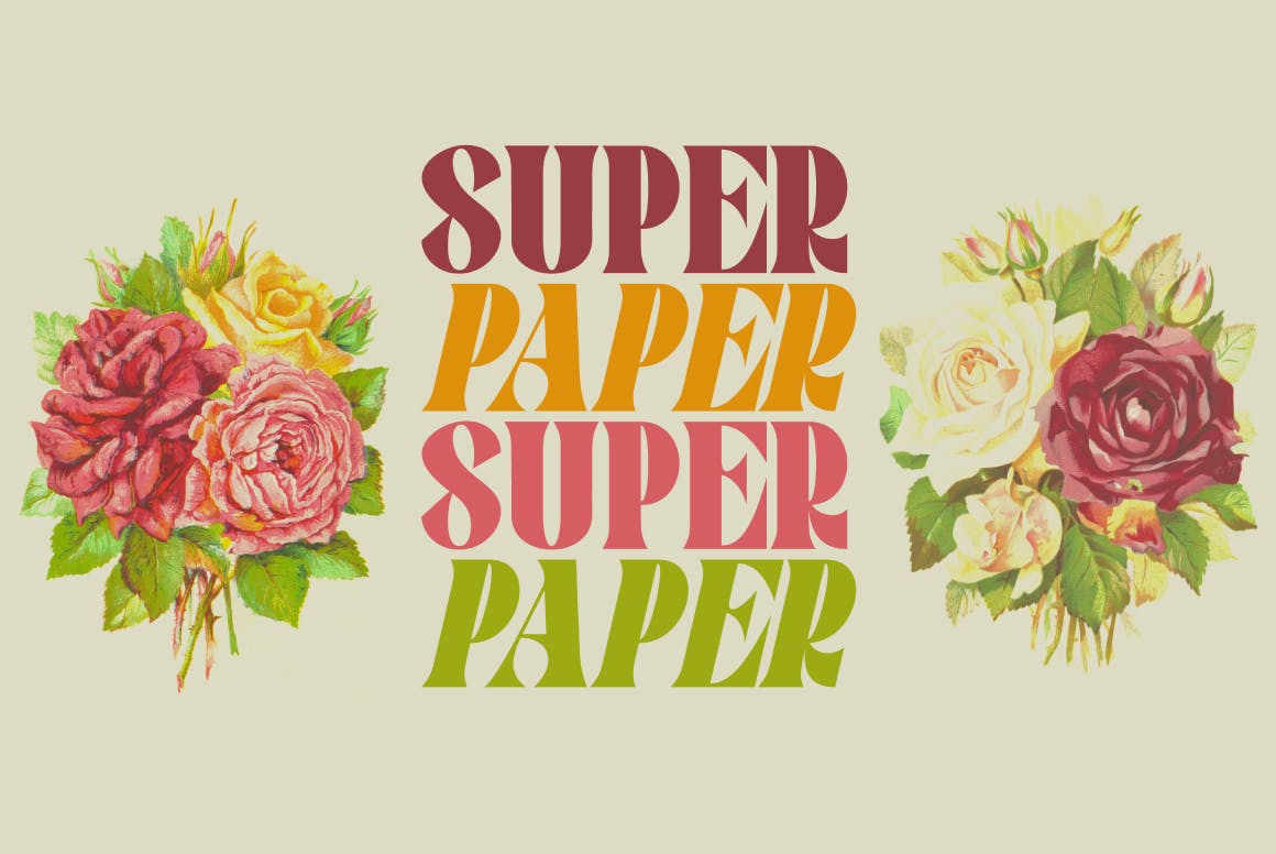 Pronema Modern Serif