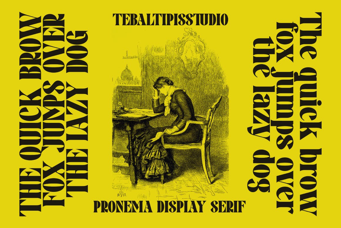 Pronema Modern Serif