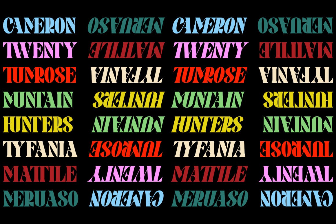 Pronema Modern Serif