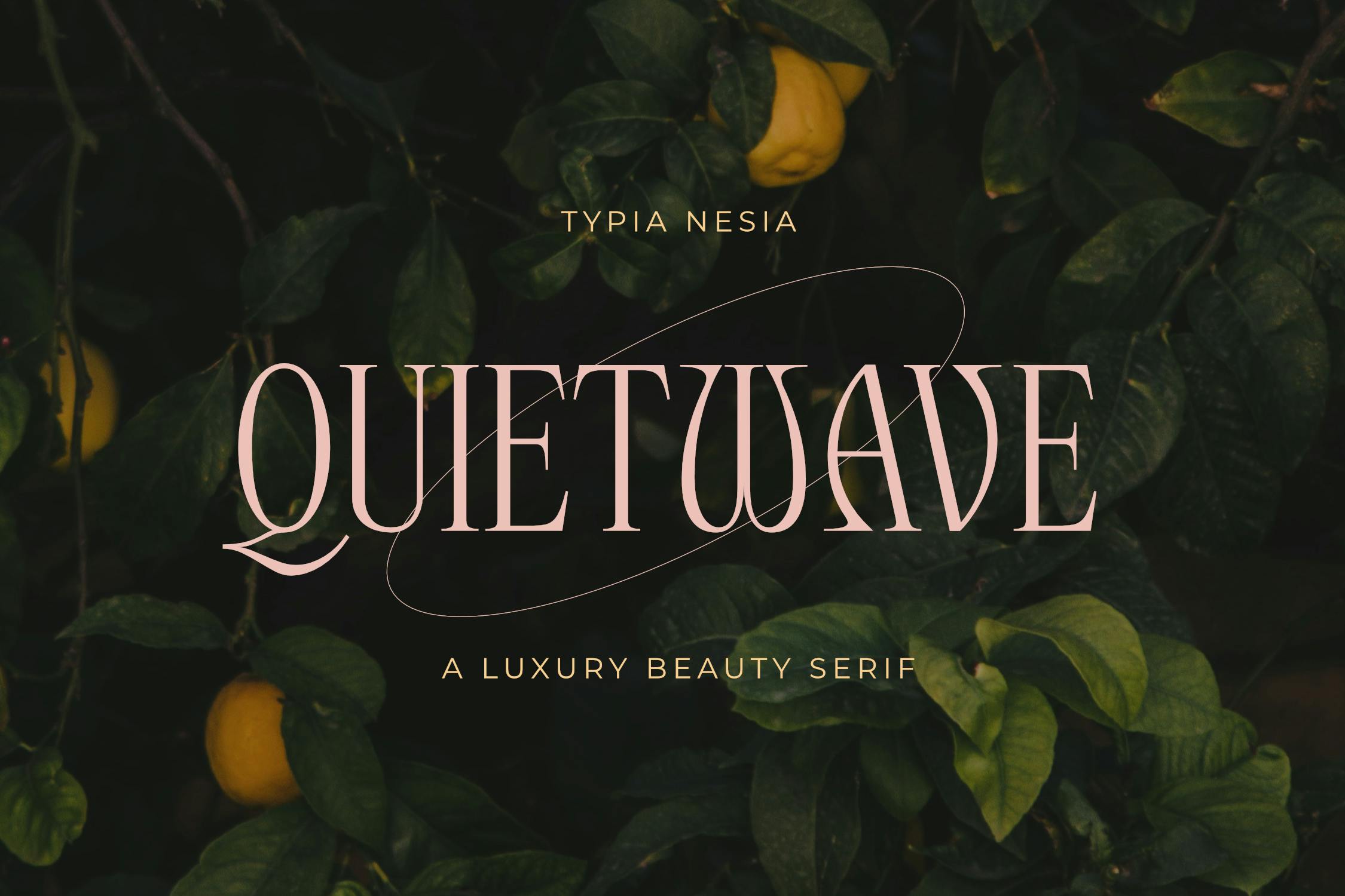 Quietwave Luxury Beauty Expressive Font Serif