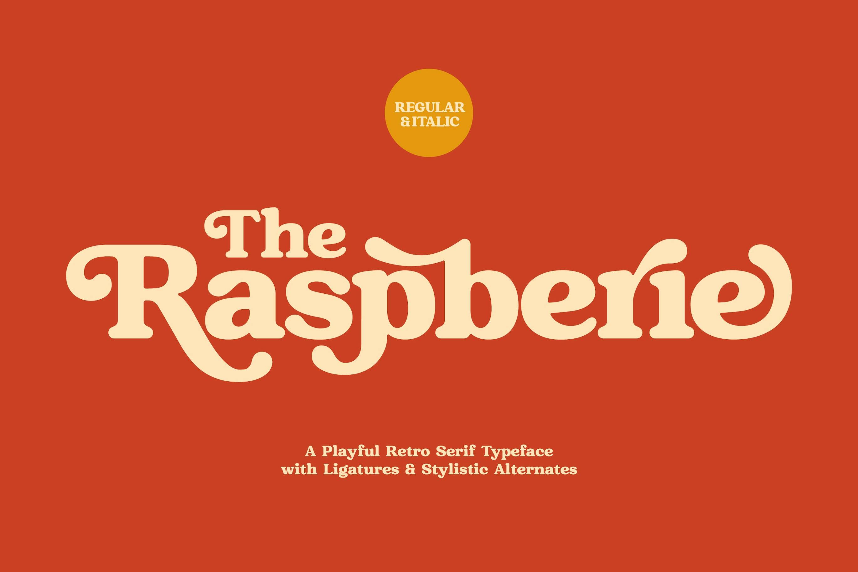 Raspberie Retro Modern