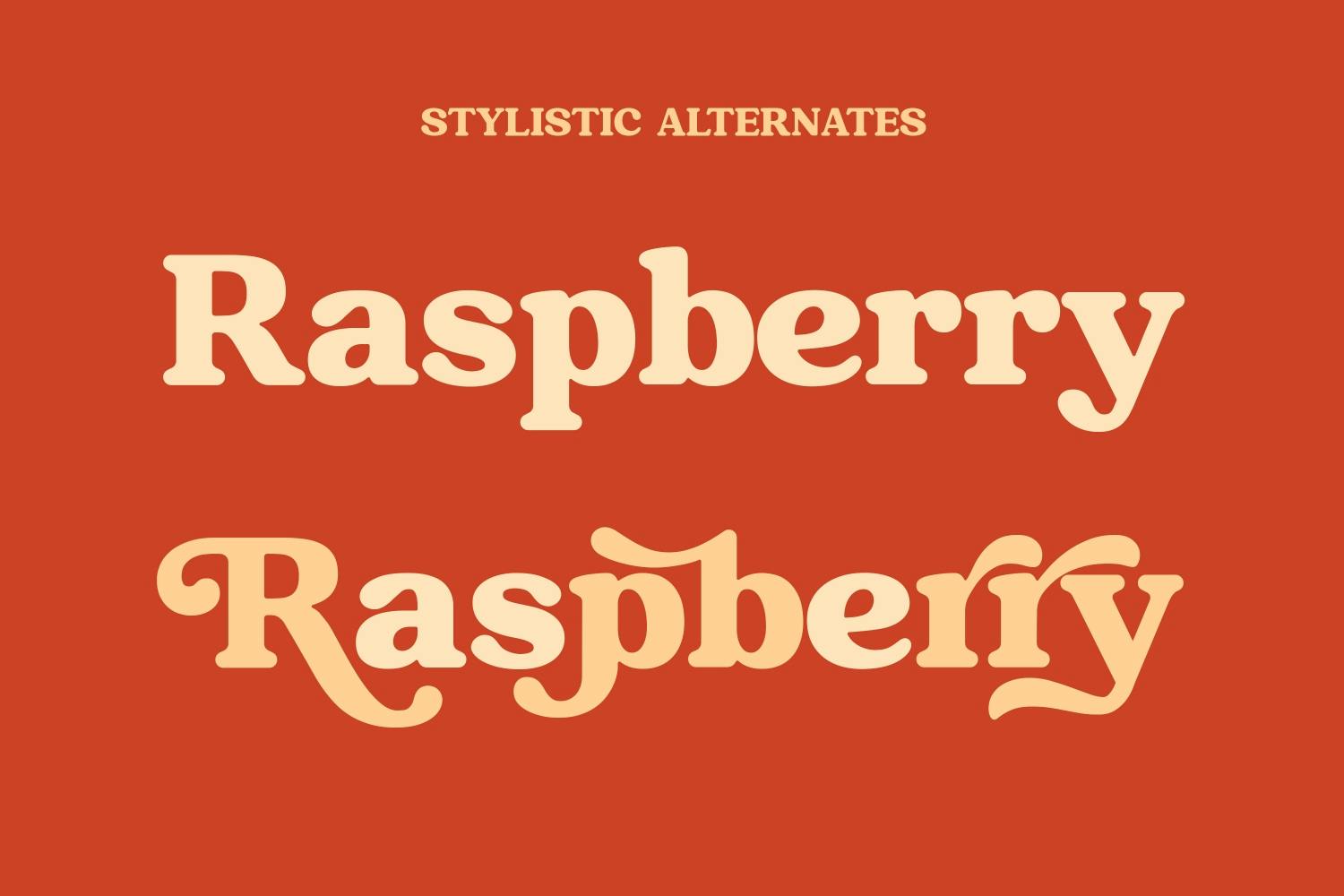 Raspberie Retro Modern