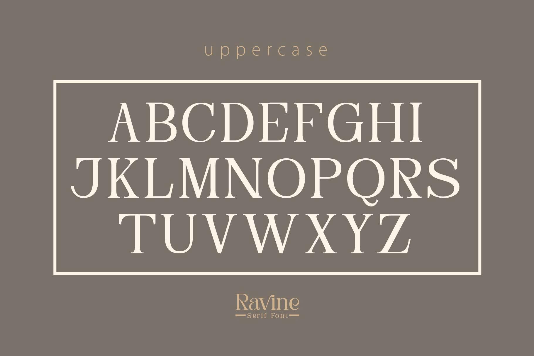 RAVINE Modern Serif