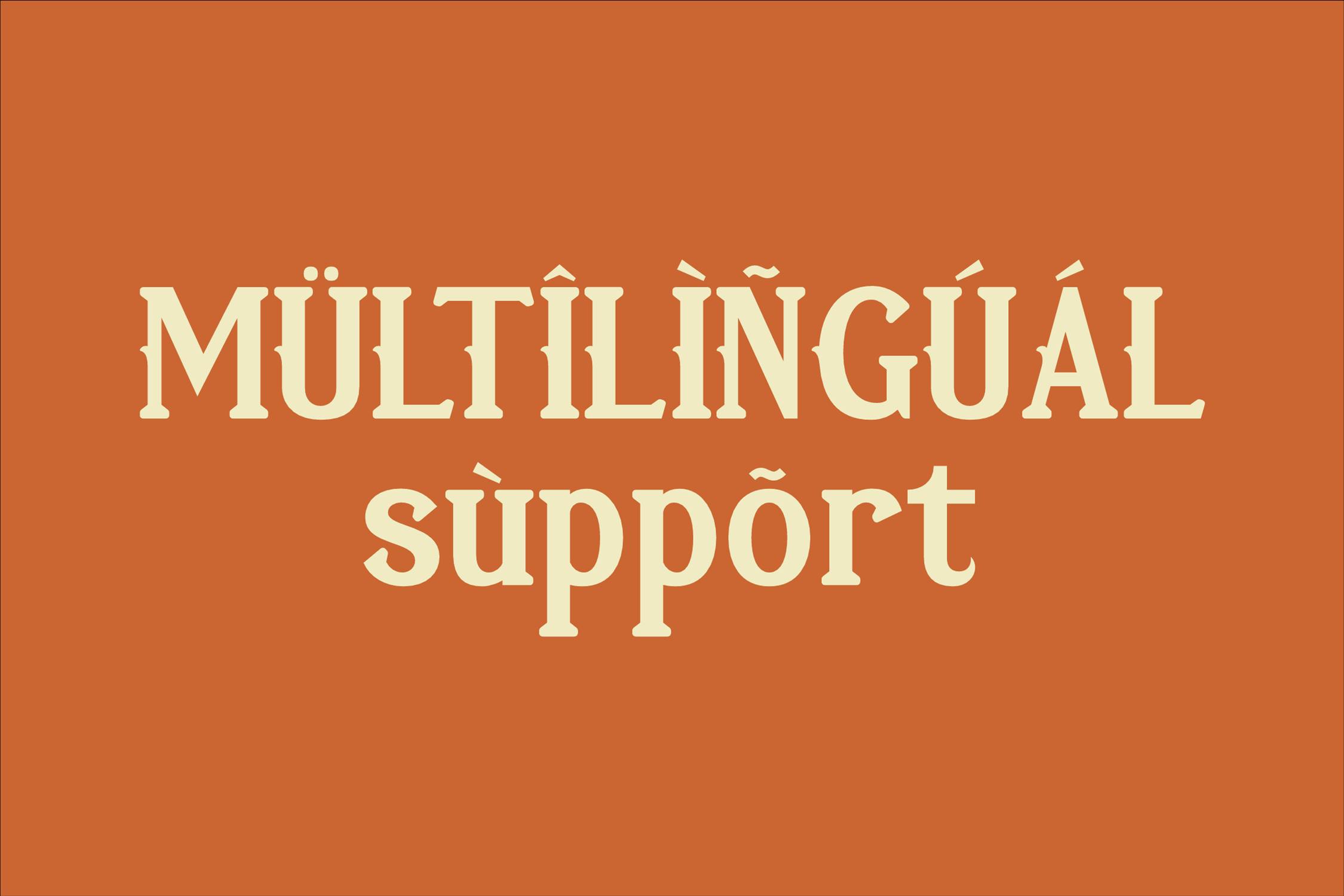 فونت Vejlikan A Modern Serif