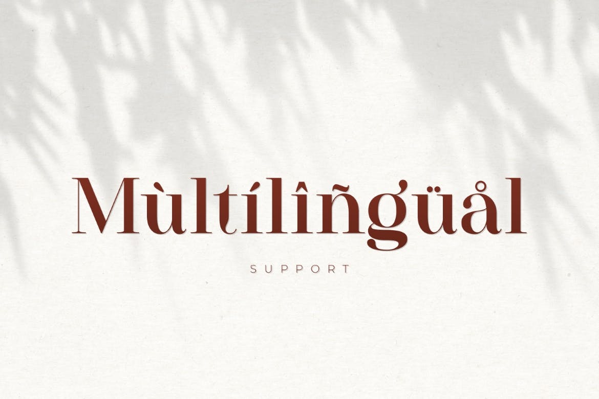 Westack Modern Serif